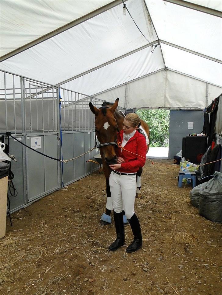 Dansk Varmblod Stenbrogårdens Fadroneur - Nørden og mig på Broholm til Ecco cup billede 5