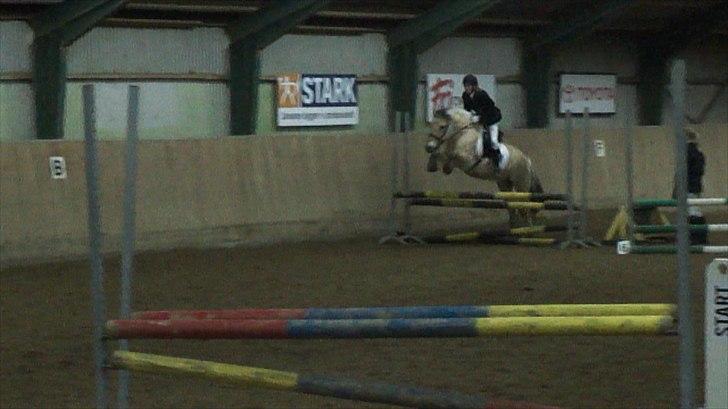 Fjordhest Rico *X-Part* - Stævne LD d. 5/03 2011 billede 7