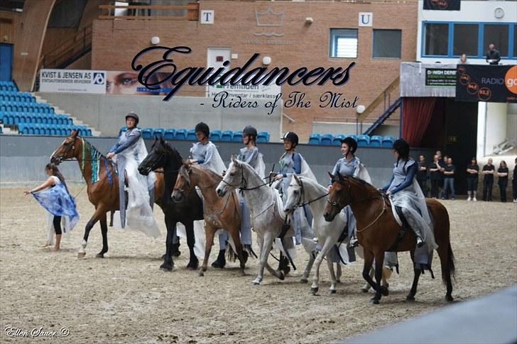 Anden særlig race Baunty - Equidancers optræder på Vilhelmsborg den 14 august til fordel for Kræftensbekæmpelse. Fra venstre: Tabita & Lumiere, Gitte & Pushkin, Agnete & Vilja, Katja & Amana, Baunty og jeg, Tinna & Bandit. billede 8
