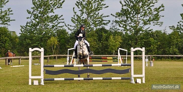 Knabstrupper Ziggie Stardust <3 - søndertoft rideklub 6/6 2010<3 billede 10