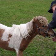 Miniature Cremedela Comte E Avatar