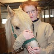 Welsh Mountain (sec A) Meadows Gaja