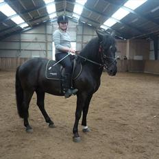 Anden særlig race Jeko Mini--Elsker dig!!