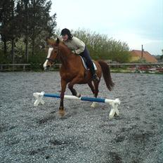 Anden særlig race Ghandi