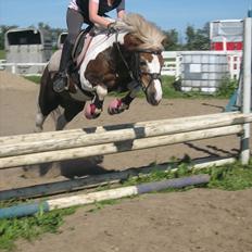 Anden særlig race Dolly (: Red! 