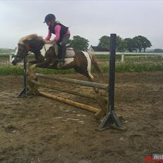 Anden særlig race Dolly (: Red! 