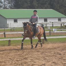 Appaloosa Andree DRØMMEPONYEN!<3 SOLGT