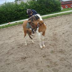 Anden særlig race Jolly :D