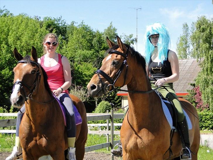 Dansk Varmblod Stenbrogårdens Fadroneur - Blå paryk : Mig på Nørden.  Solbriller: Simone Vinther på Felix :) billede 8