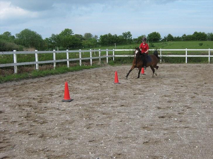 DSP Fredbo's Butler billede 10