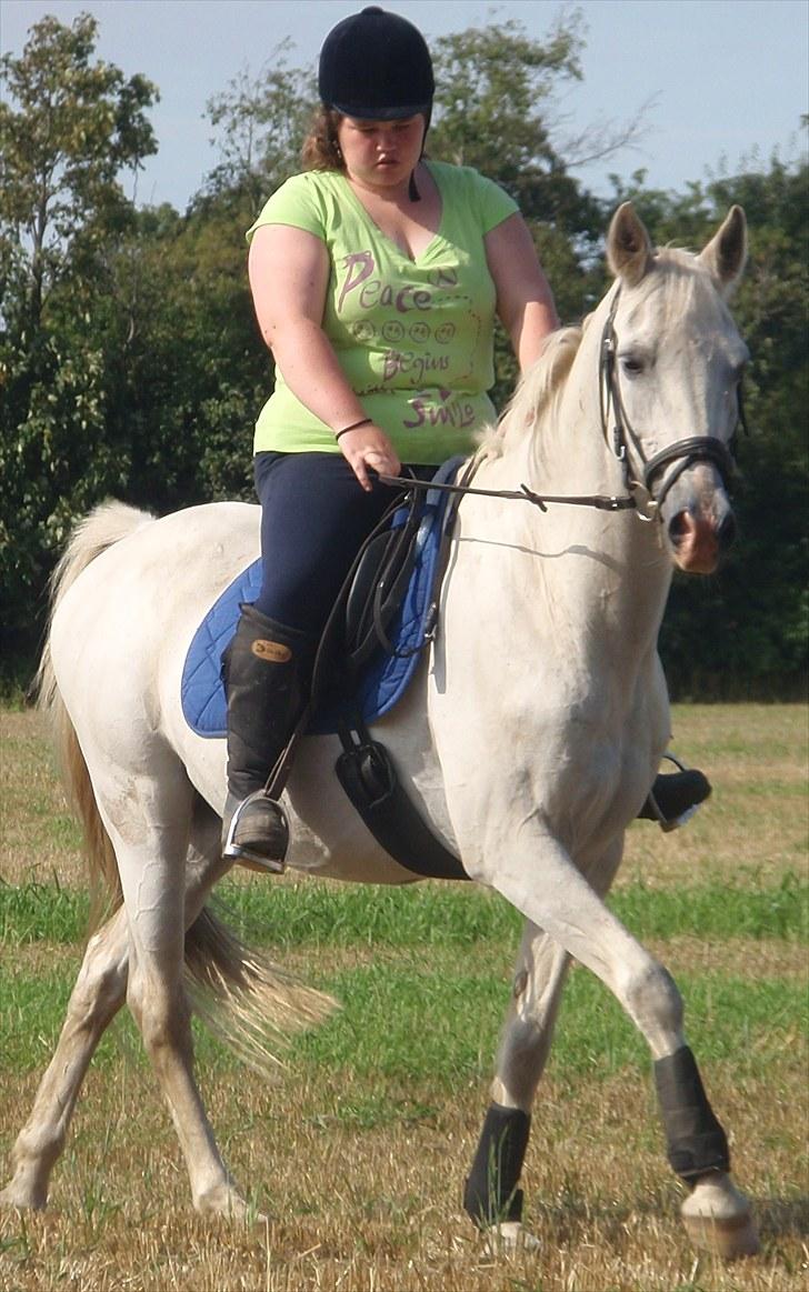 Anden særlig race Sir Bastian Tidl. hest - på besøg hos Bastian d. 7/8-2910 foto: Susanne (Veninde) billede 19