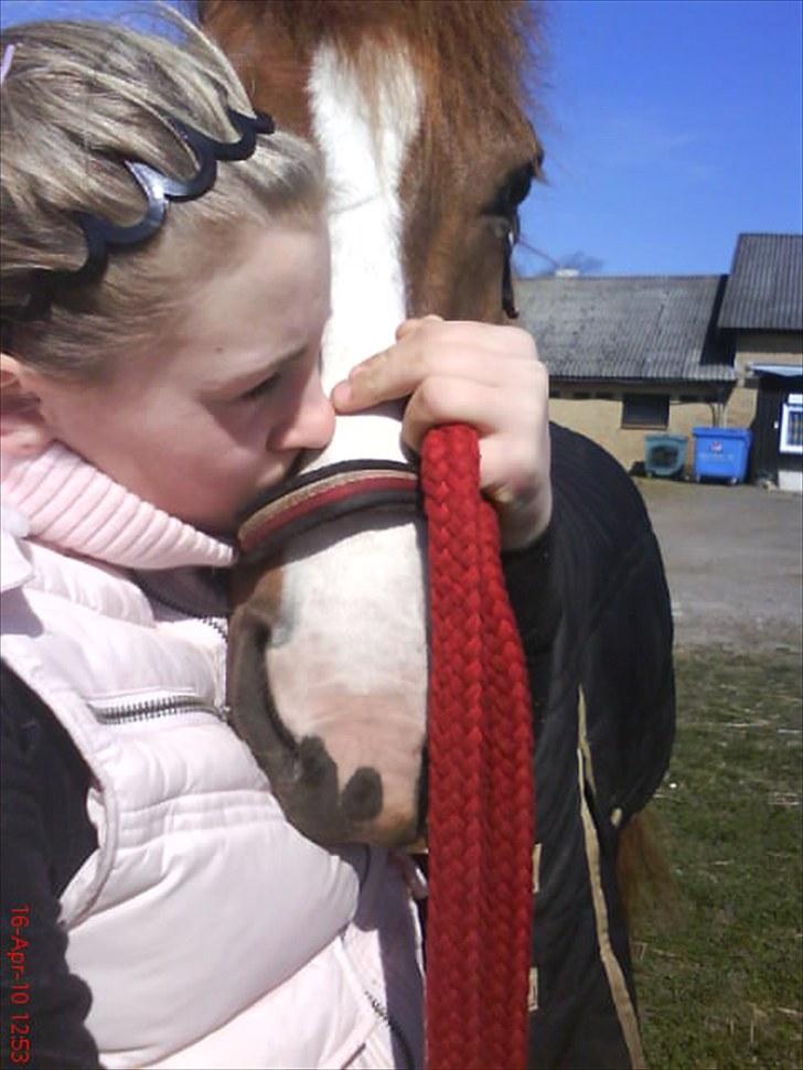 Anden særlig race Pikatju Mitalt!í;<3333333 - jeg elsker ham og gir aldrig slip :D<333333 billede 17