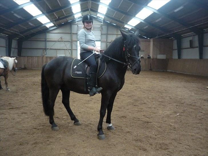 Anden særlig race Jeko Mini--Elsker dig!! billede 3