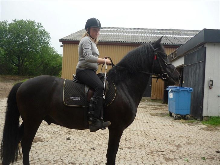 Anden særlig race Jeko Mini--Elsker dig!! billede 4