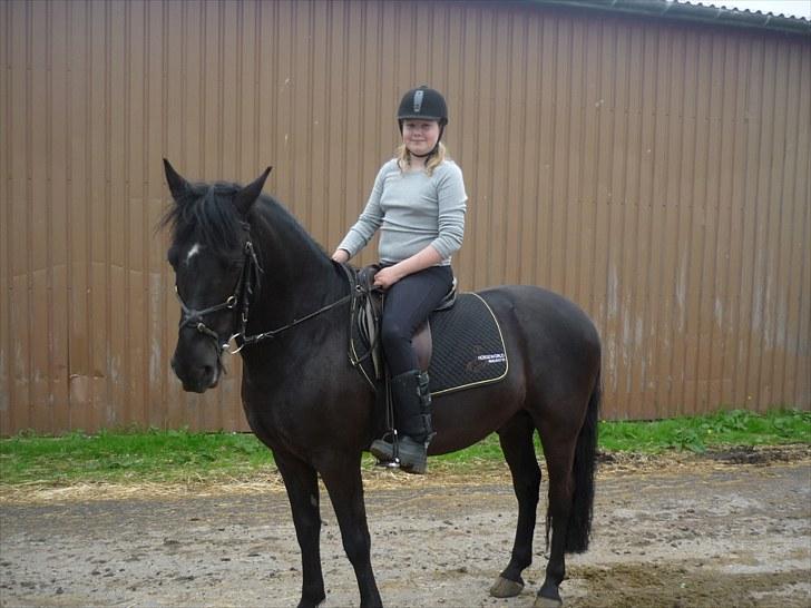 Anden særlig race Jeko Mini--Elsker dig!! billede 8