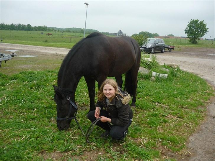 Anden særlig race Jeko Mini--Elsker dig!! billede 9