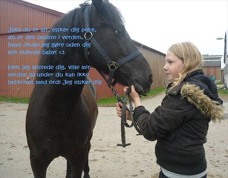 Anden særlig race Jeko Mini--Elsker dig!! billede 10