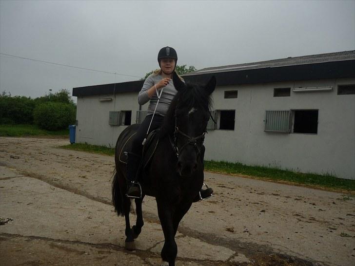 Anden særlig race Jeko Mini--Elsker dig!! billede 13