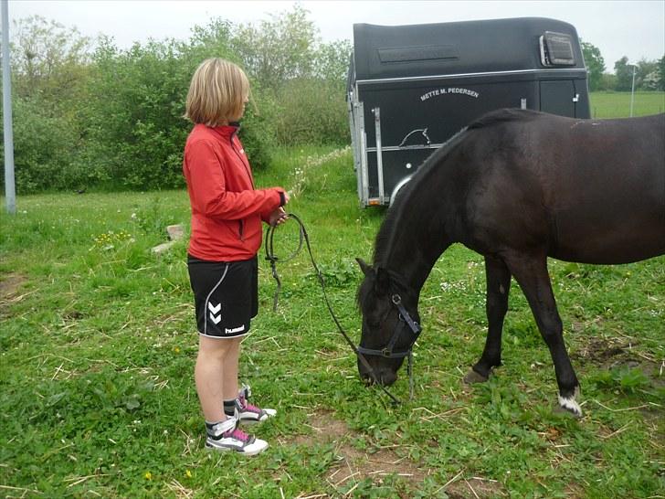 Anden særlig race Jeko Mini--Elsker dig!! - Første gang Signe-Holder en hest billede 14