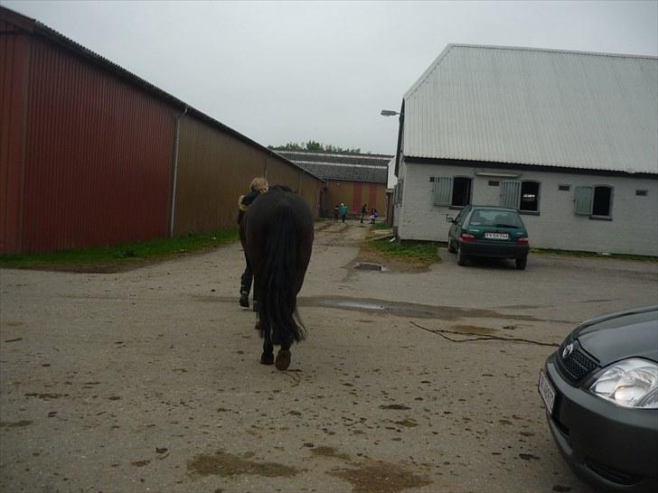 Anden særlig race Jeko Mini--Elsker dig!! billede 16