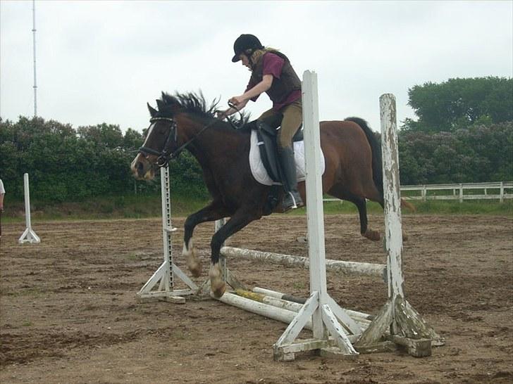 DSP Bitten firhøj - jeg er lige ved at falde af ;D billede 10