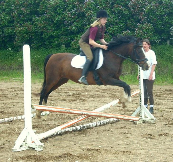 DSP Bitten firhøj - første gang vi springer<3  billede 11