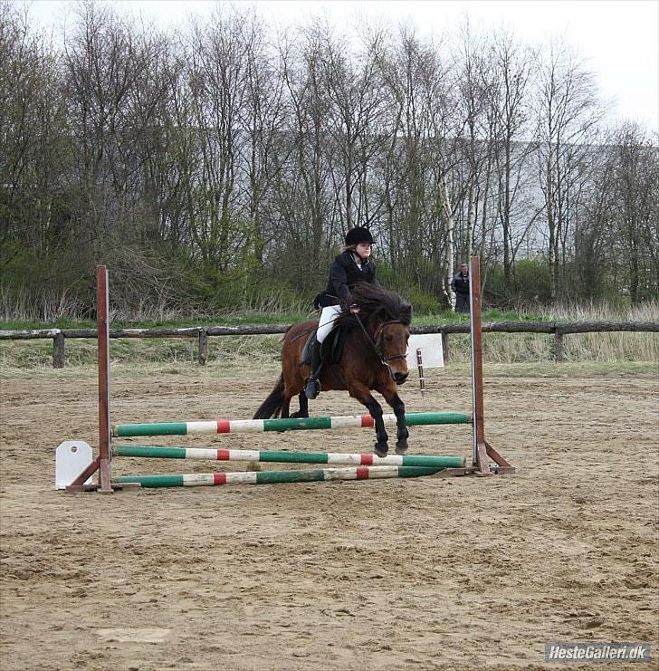 Anden særlig race Passo<3 i; - kærbo billede 13