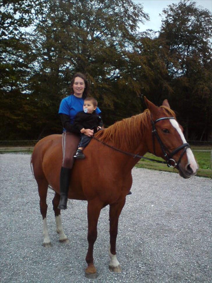 Anden særlig race Ghandi billede 3