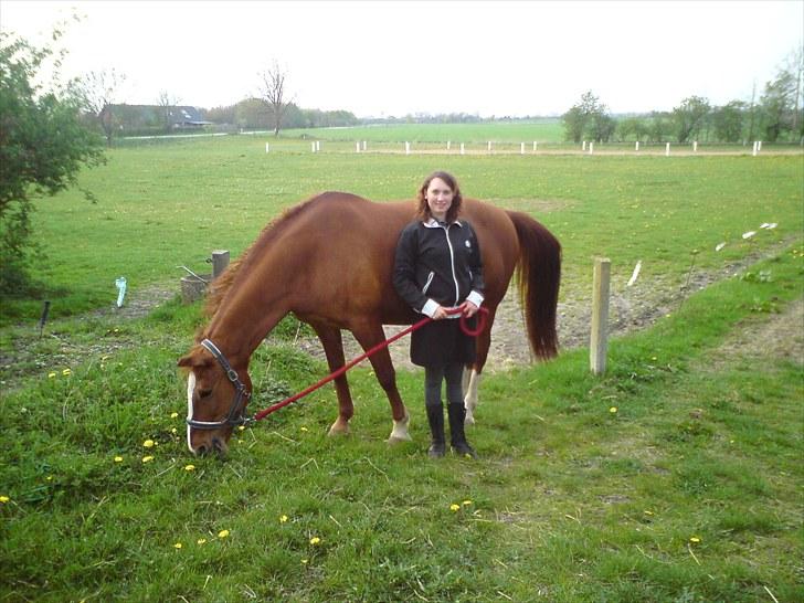 Anden særlig race Ghandi billede 4