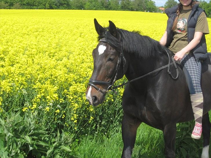 Oldenborg Marco - Sommer ´10 billede 9