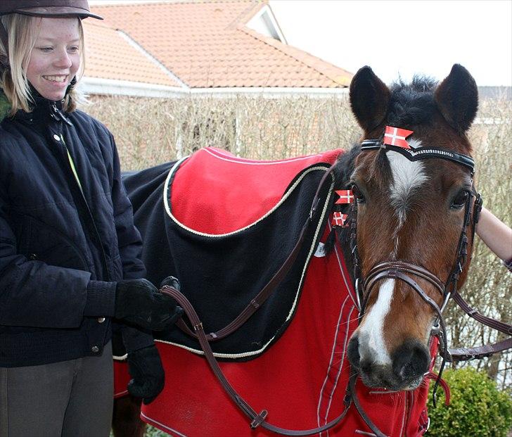 Welsh Partbred (Sec F) Cookie - FOTO: Emile | To dejlige pige på besøg på min fødselsdag :p billede 4