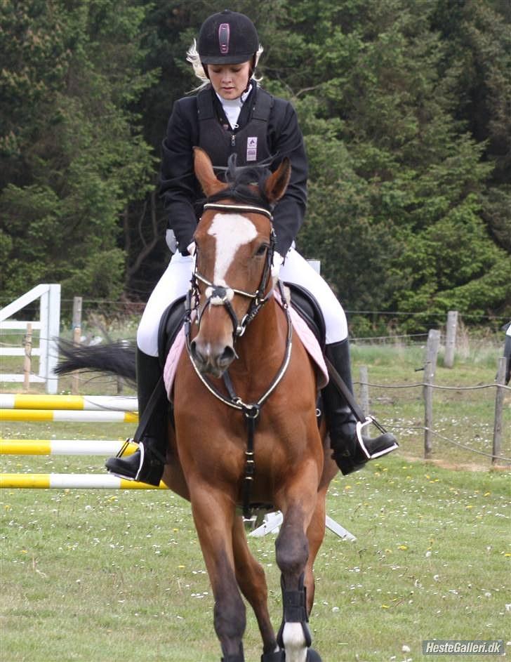 Anden særlig race Lyngholms dixie 'UDLÅNT' - mig & dixie til stævne i HIR.  #´foto:annika. billede 16