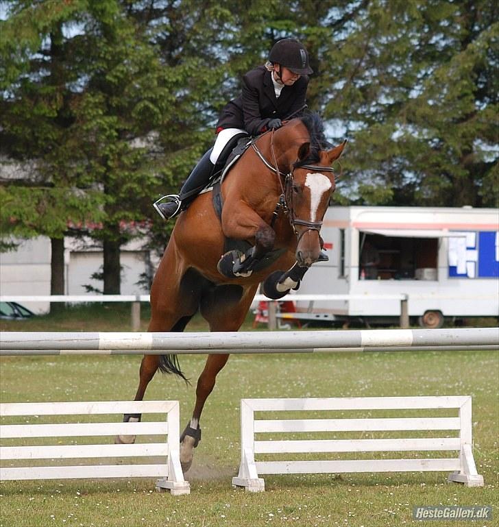 Anden særlig race Lyngholms dixie 'UDLÅNT' - tine & dixie til stævne i HJR. #´foto:annika. billede 19