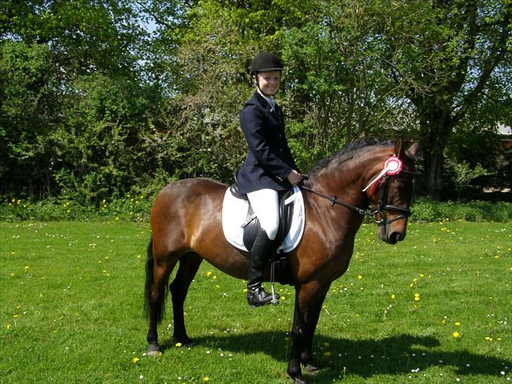 Knabstrupper Sasja  - vandt begge mine klasser ;D  billede 16