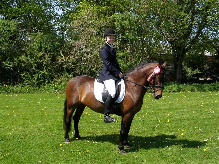 Knabstrupper Sasja  - så stolt af den lille pony! billede 17