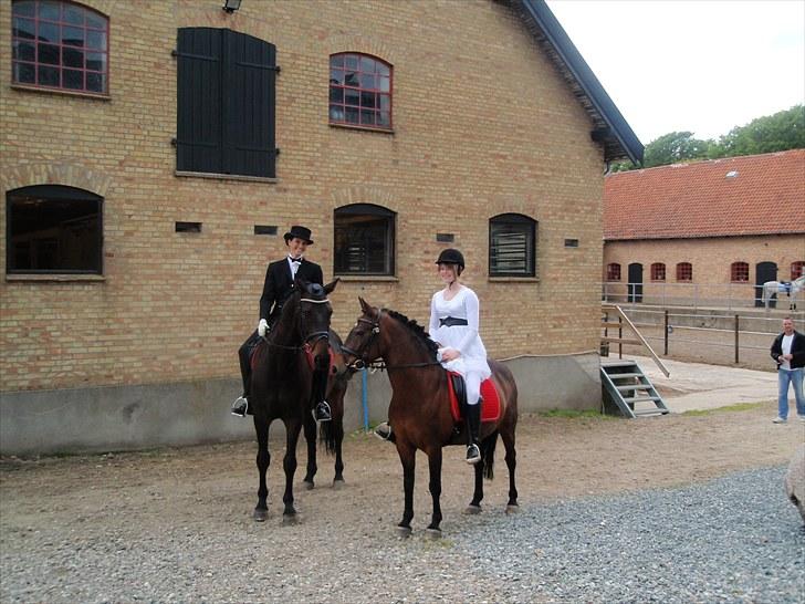 Knabstrupper Sasja  - brudepar på hest ;D   billede 20