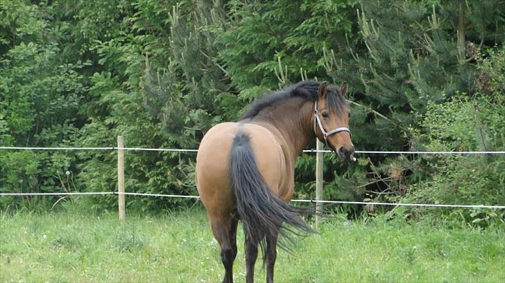 Anden særlig race Lukas Bathalomæus - Du er da så sød! <3  billede 4