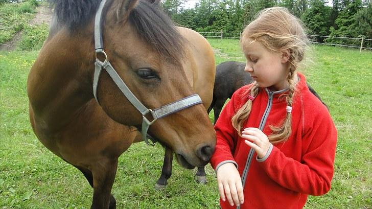 Anden særlig race Lukas Bathalomæus - du skal lige snuse til lillesøsters trøje <3 billede 6