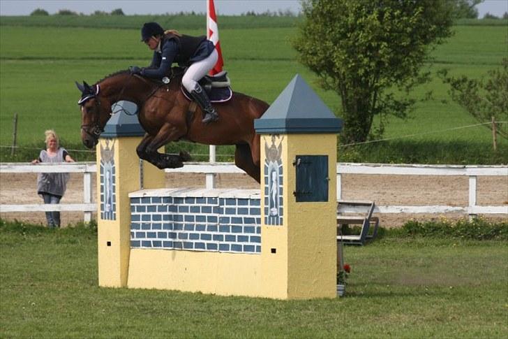 Belgisk varmblod Dalida de reve - Dalida - distrektmesterskab 2010 (; <3 fotograf: gitte dahl.. billede 13