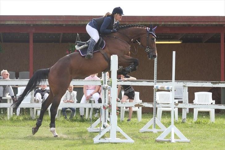 Belgisk varmblod Dalida de reve - Dalida - distrektmesterskab 2010 (; <3 fotograf: gitte dahl.. billede 15