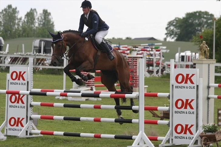 Belgisk varmblod Dalida de reve - Dalida distrektmesterskab 2010 (; <3 billede 17
