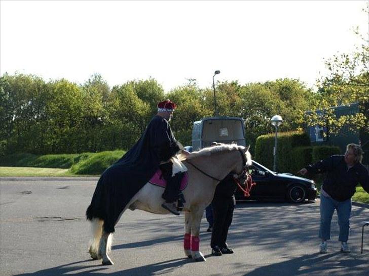 Anden særlig race Basse - Bassemand på skads skole til sidste skoledag. billede 18