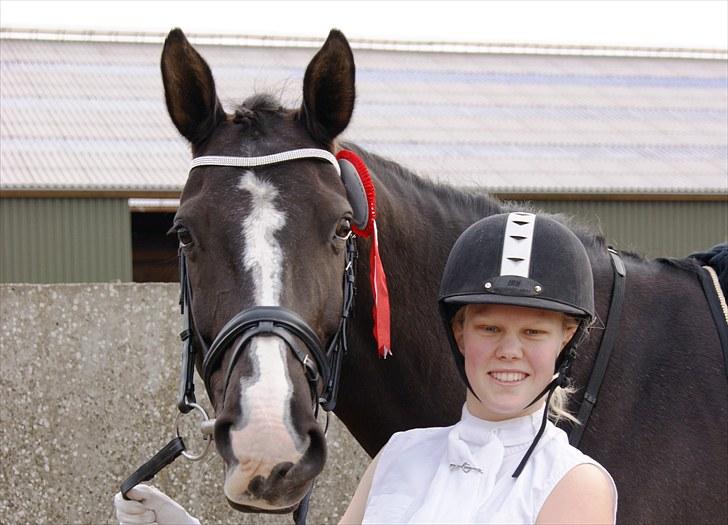 Dansk Varmblod Malue Åbo - 12. Førsteplads i den indledende cupklasse i Tylstrup 2010 :) Vi red LA1 Fotograf: Ann-Charlot billede 12