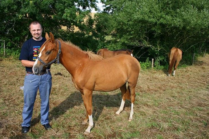 DSP ¤ Nørringsholms Tammadoor - 11-07-2008 billede 9