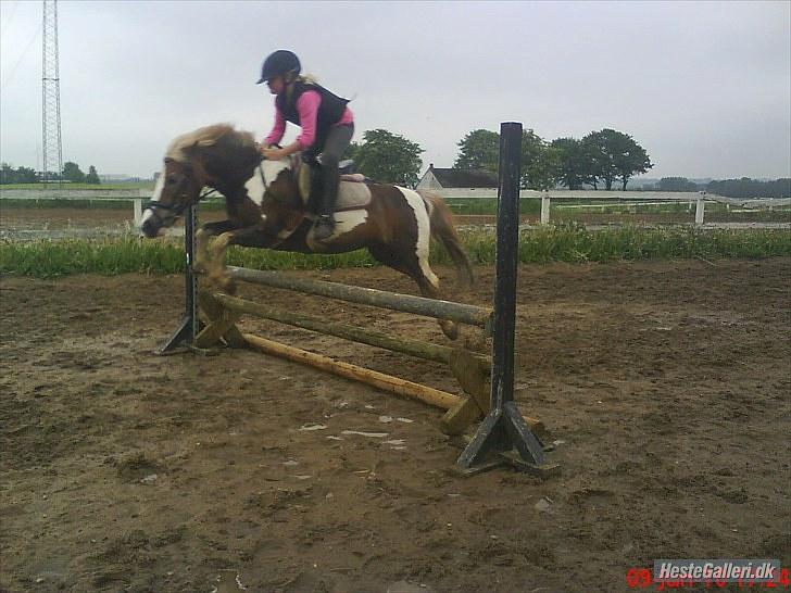 Anden særlig race Dolly (: Red!  - Stjernen! billede 2