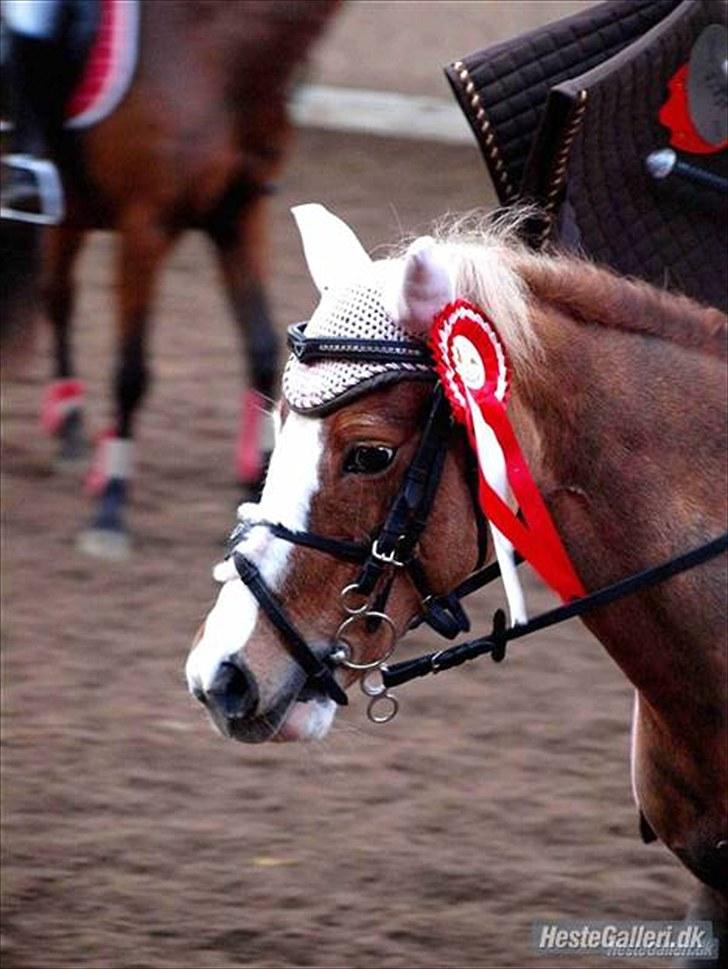 Anden særlig race Dolly (: Red!  - Line vinder klassen på Dolly (; billede 3