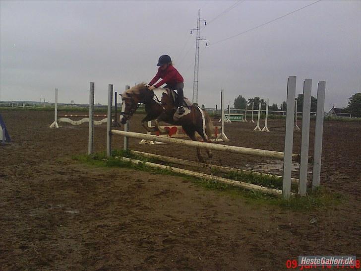 Anden særlig race Dolly (: Red!  - Dejlig pony<3 billede 4