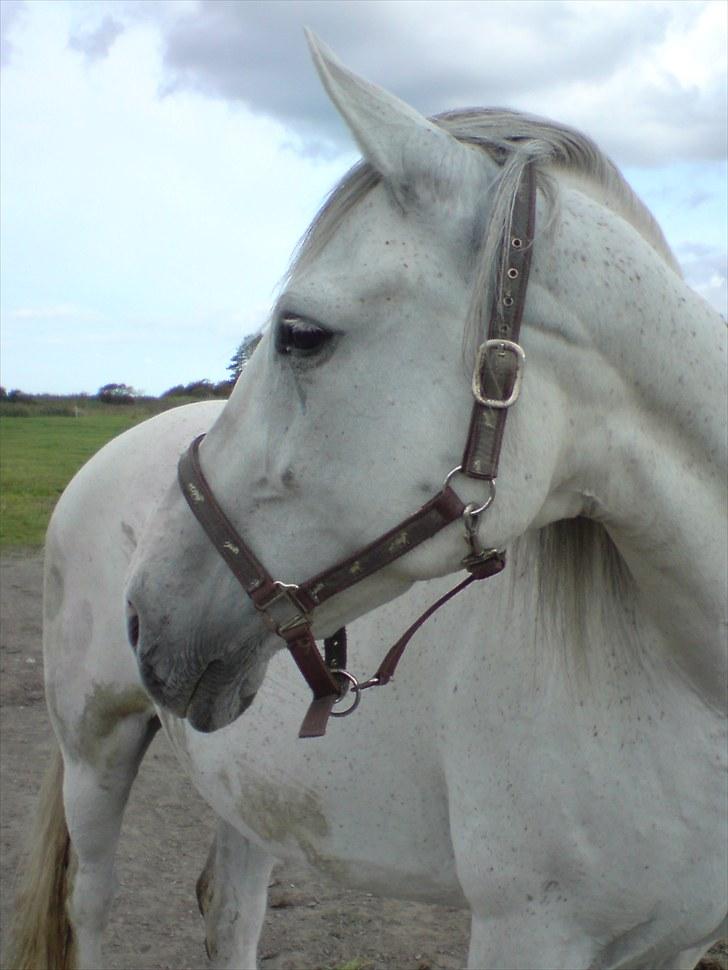 Anden særlig race Tøzen  - Velkommen til Tøzen´s profil <3 ! billede 1