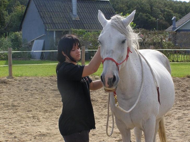 Anden særlig race Tøzen  billede 3