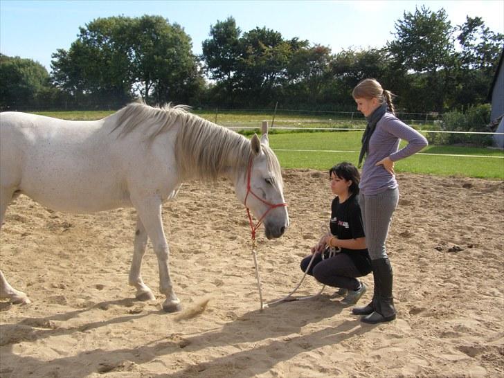 Anden særlig race Tøzen  - Sødt :)  billede 11